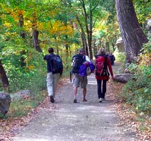 Pet Friendly B&B Outdoors